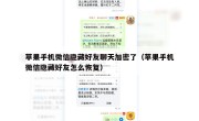 苹果手机微信隐藏好友聊天加密了（苹果手机微信隐藏好友怎么恢复）