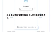 小学生加密聊天数字拼音（小学生数字聊天密码）