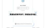 数据加密聊天技巧（数据加密功能）