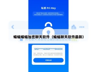 蝙蝠蝙蝠加密聊天软件（蝙蝠聊天软件最新）