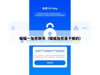 蝙蝠一加密聊天（蝙蝠加密是干嘛的）