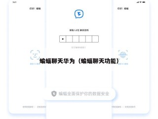 蝙蝠聊天华为（蝙蝠聊天功能）