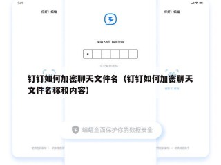 钉钉如何加密聊天文件名（钉钉如何加密聊天文件名称和内容）