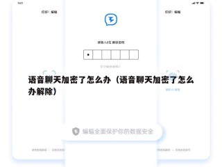 语音聊天加密了怎么办（语音聊天加密了怎么办解除）