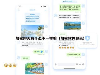 加密聊天有什么不一样嘛（加密软件聊天）