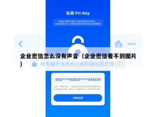 企业密信怎么没有声音（企业密信看不到图片）