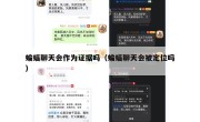 蝙蝠聊天会作为证据吗（蝙蝠聊天会被定位吗）