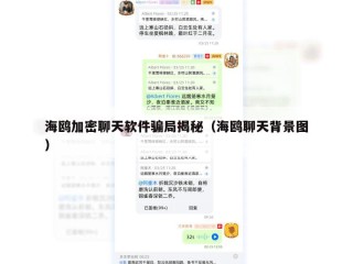 海鸥加密聊天软件骗局揭秘（海鸥聊天背景图）