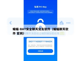 蝙蝠-BAT安全聊天交友软件（蝙蝠聊天软件 官网）