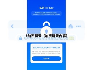 t加密聊天（加密聊天内容）