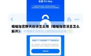 蝙蝠加密聊天应该怎么用（蝙蝠加密消息怎么解开）