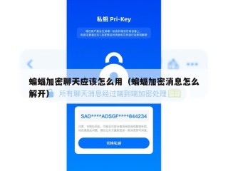 蝙蝠加密聊天应该怎么用（蝙蝠加密消息怎么解开）