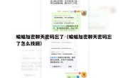 蝙蝠加密聊天密码忘了（蝙蝠加密聊天密码忘了怎么找回）