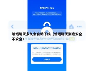 蝙蝠聊天多久会自动下线（蝙蝠聊天到底安全不安全）