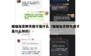 蝙蝠加密聊天圈子是什么（蝙蝠加密聊天圈子是什么样的）