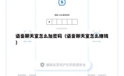 语音聊天室怎么加密码（语音聊天室怎么赚钱）