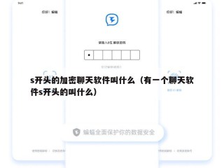 s开头的加密聊天软件叫什么（有一个聊天软件s开头的叫什么）