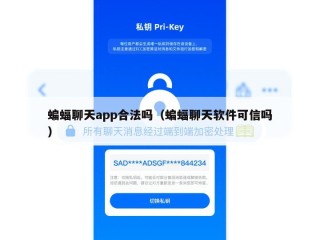 蝙蝠聊天app合法吗（蝙蝠聊天软件可信吗）