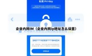 企业内网IM（企业内网ip地址怎么设置）