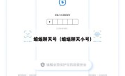 蝙蝠聊天号（蝙蝠聊天小号）