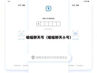 蝙蝠聊天号（蝙蝠聊天小号）