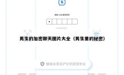 男生的加密聊天图片大全（男生里的秘密）