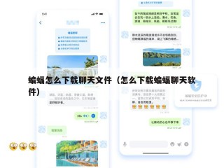 蝙蝠怎么下载聊天文件（怎么下载蝙蝠聊天软件）
