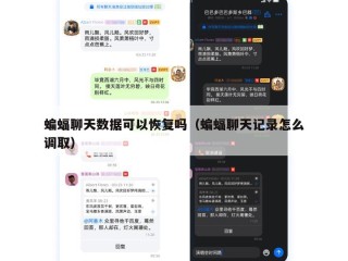 蝙蝠聊天数据可以恢复吗（蝙蝠聊天记录怎么调取）