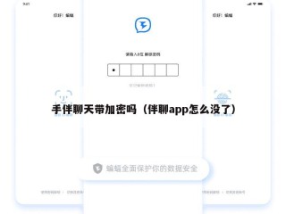 手伴聊天带加密吗（伴聊app怎么没了）