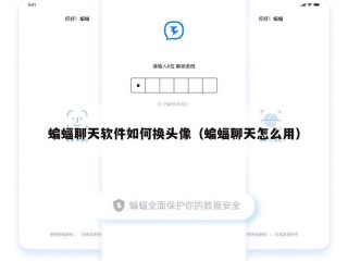 蝙蝠聊天软件如何换头像（蝙蝠聊天怎么用）