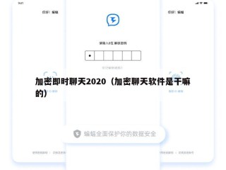 加密即时聊天2020（加密聊天软件是干嘛的）