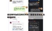 语音聊天加密怎样打开的（语音信息加密,去哪里解锁）