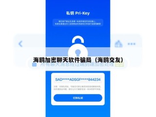 海鸥加密聊天软件骗局（海鸥交友）