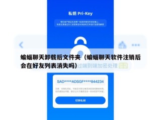 蝙蝠聊天卸载后文件夹（蝙蝠聊天软件注销后会在好友列表消失吗）
