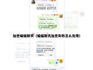 加密蝙蝠聊天（蝙蝠聊天加密失败怎么处理）