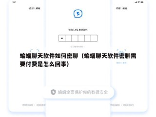 蝙蝠聊天软件如何密聊（蝙蝠聊天软件密聊需要付费是怎么回事）
