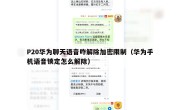 P20华为聊天语音咋解除加密限制（华为手机语音锁定怎么解除）