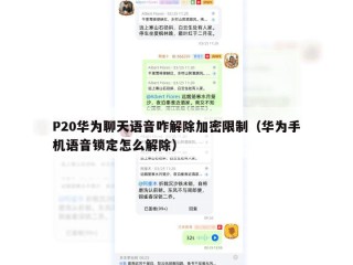 P20华为聊天语音咋解除加密限制（华为手机语音锁定怎么解除）
