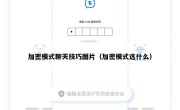 加密模式聊天技巧图片（加密模式选什么）