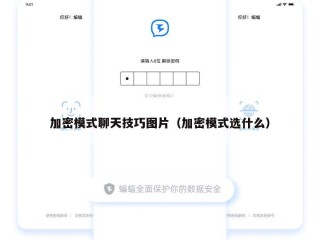 加密模式聊天技巧图片（加密模式选什么）