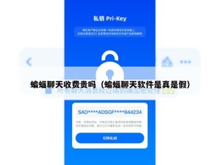 蝙蝠聊天收费贵吗（蝙蝠聊天软件是真是假）