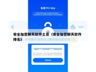 安全加密聊天软件土豆（安全加密聊天软件 排名）