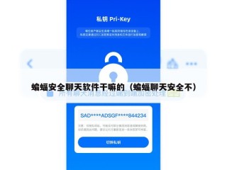 蝙蝠安全聊天软件干嘛的（蝙蝠聊天安全不）