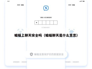 蝙蝠上聊天安全吗（蝙蝠聊天是什么意思）