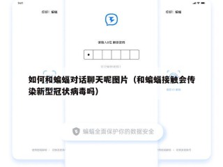 如何和蝙蝠对话聊天呢图片（和蝙蝠接触会传染新型冠状病毒吗）