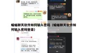 蝙蝠聊天软件如何输入密码（蝙蝠聊天软件如何输入密码登录）