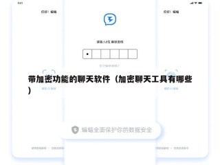带加密功能的聊天软件（加密聊天工具有哪些）