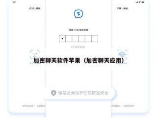 加密聊天软件苹果（加密聊天应用）