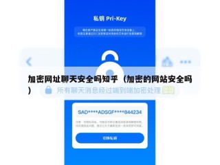 加密网址聊天安全吗知乎（加密的网站安全吗）