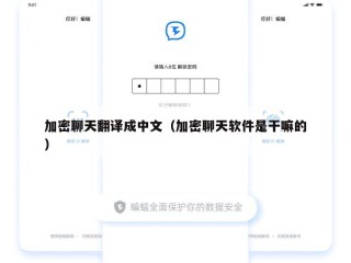 加密聊天翻译成中文（加密聊天软件是干嘛的）